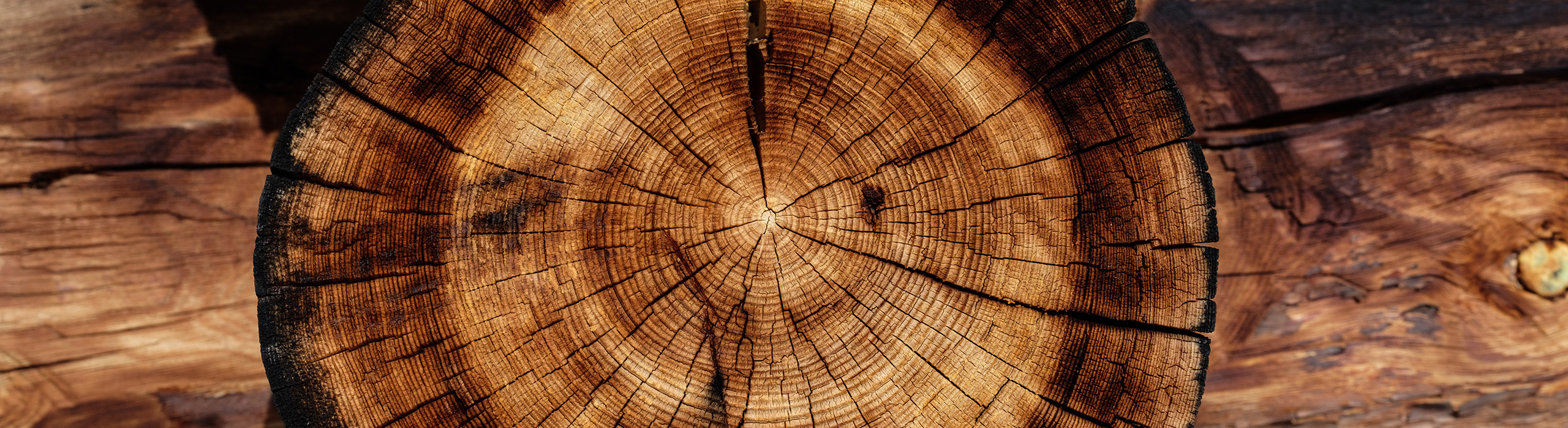 Careers at Rave Reps